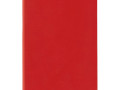 Ежедневник Flat Mini, недатированный, красный