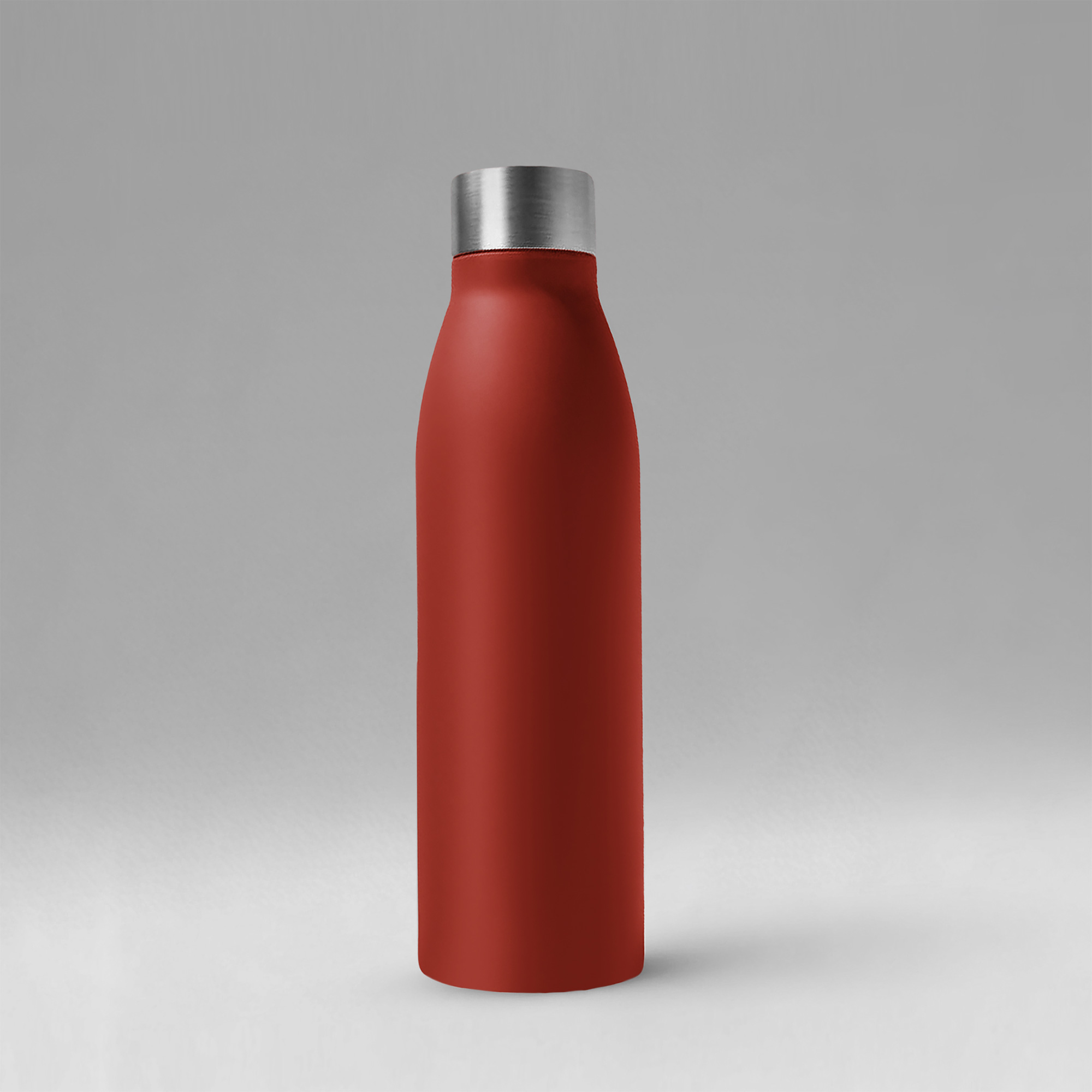 Бутылка для воды из нержавеющей стали «Rely», 650 мл