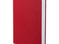 Ежедневник Basis, датированный, красный
