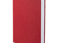 Ежедневник Basis, датированный, красный